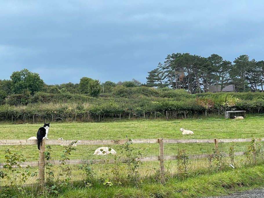 Tranquil, Secluded, Rural Cottage For Two โบมาริส ภายนอก รูปภาพ